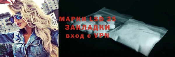 индика Армянск