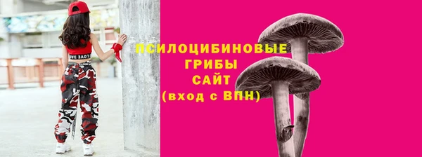 индика Армянск