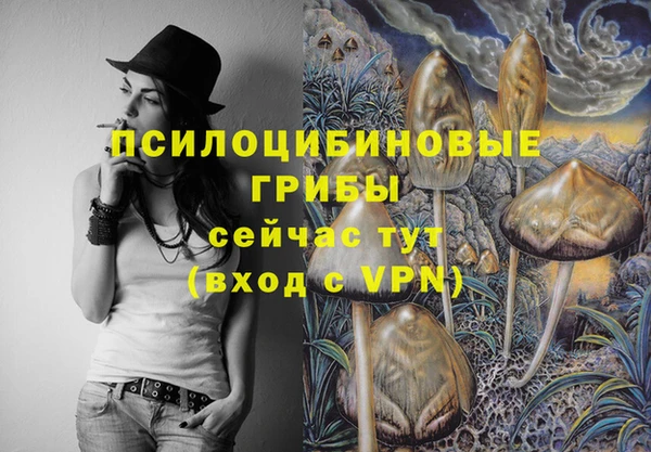 дмт Аркадак