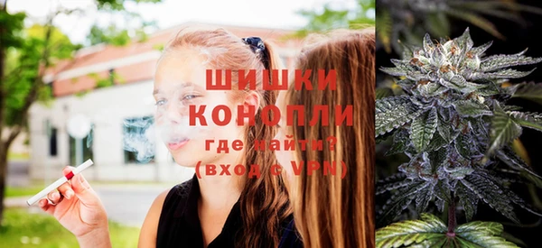 дмт Аркадак