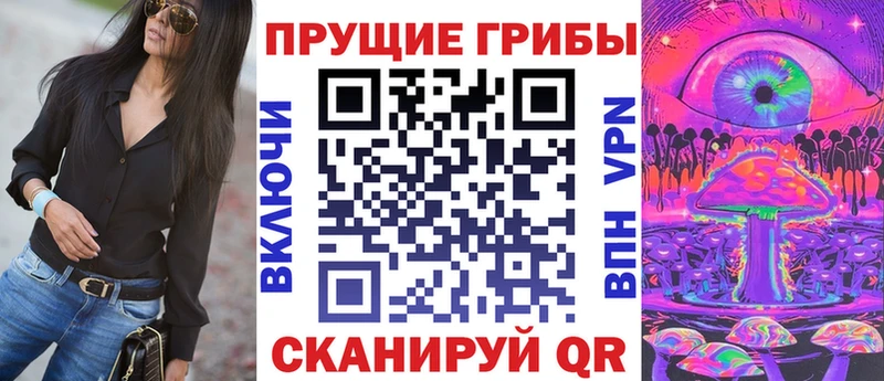 где можно купить   Шарыпово  Псилоцибиновые грибы MAGIC MUSHROOMS 